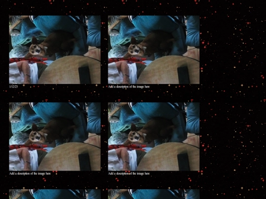 Phototest screenshot