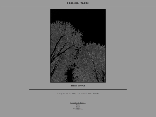 post/trees couple screenshot