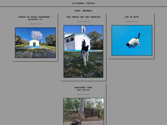 tag-animal screenshot