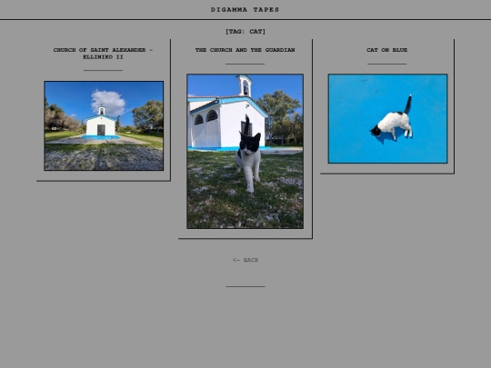 tag-cat screenshot