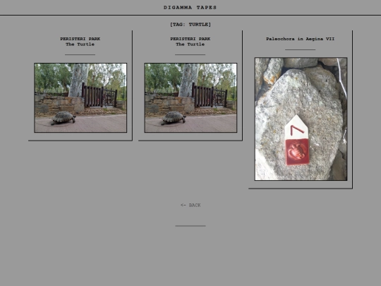 tag-turtle screenshot