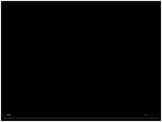 addons/dplayer/html/h5player screenshot