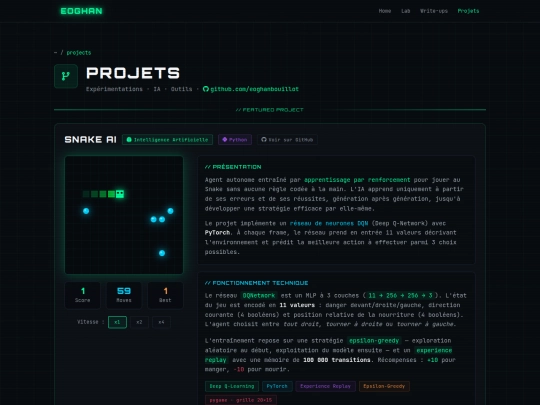 projects screenshot