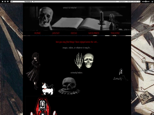 WEBFINDS screenshot