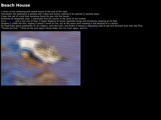 gull screenshot