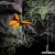 onthegrapevine.neocities.org avatar