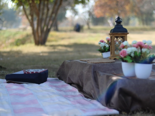 vignettes/picnic screenshot