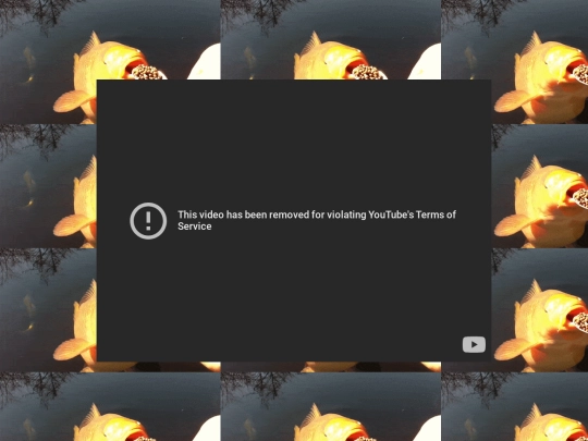 AH screenshot