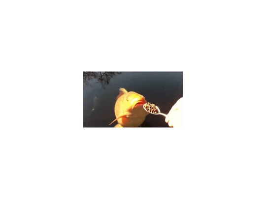 gulp screenshot