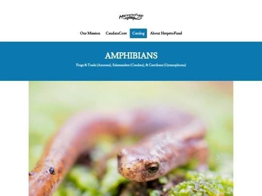 catalog screenshot
