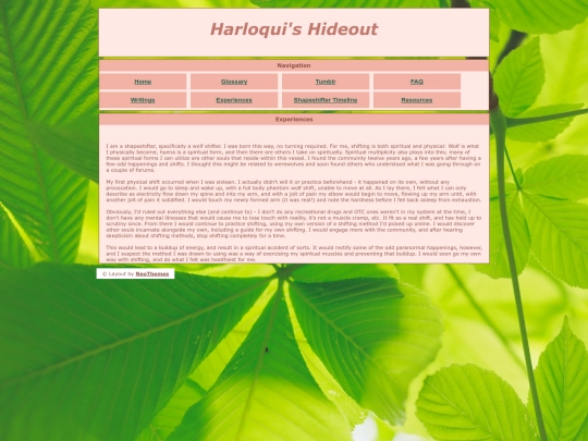 experiences screenshot