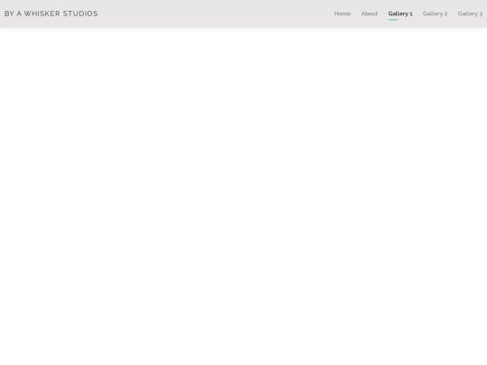 gallery1 screenshot