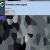 dsac.neocities.org avatar