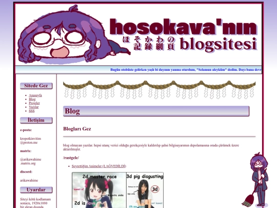 blog screenshot