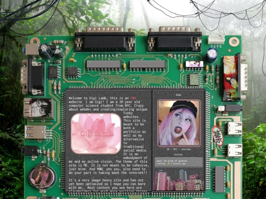 home screenshot