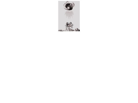 prova/prova screenshot