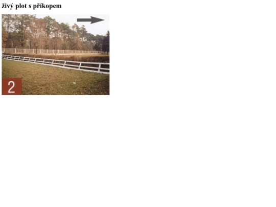 13 screenshot