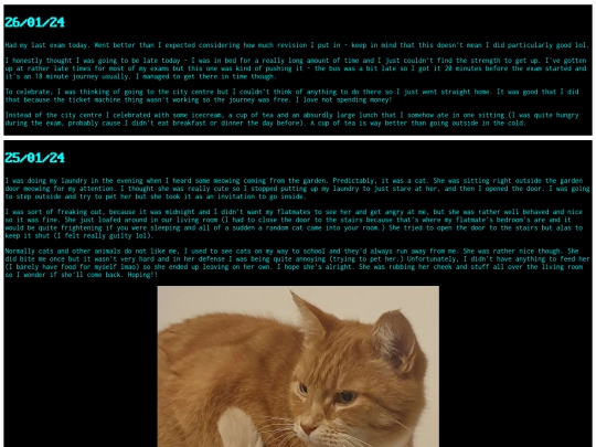 diary/jan24 screenshot