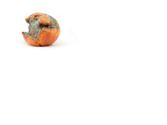 ripe/tuan screenshot