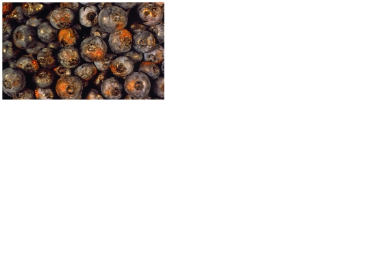 ripe/young screenshot