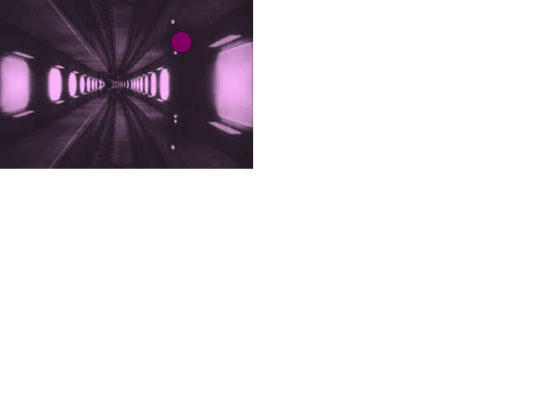 tint screenshot
