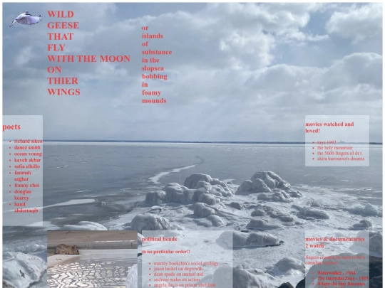 geese screenshot