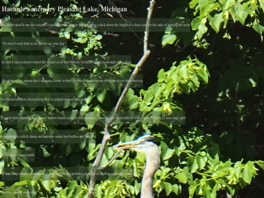 leg.bones screenshot