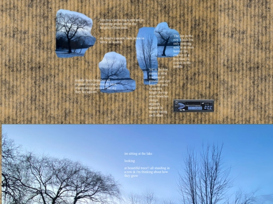 treequartet screenshot
