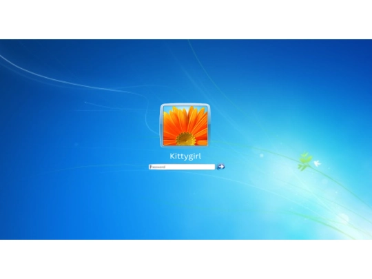 1 screenshot
