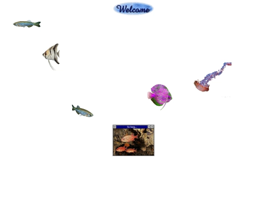aqua screenshot