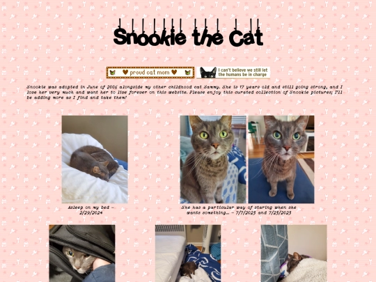 snookie screenshot