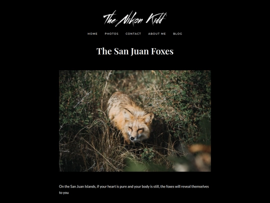san-juan-foxes screenshot