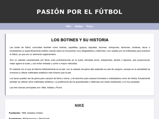 web screenshot