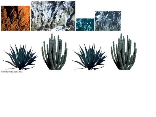cactus_zone screenshot