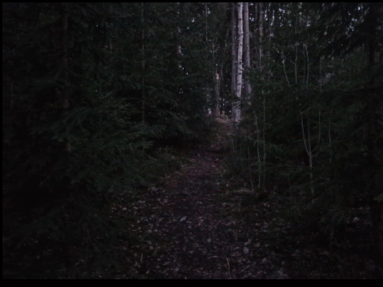 polku15235 screenshot