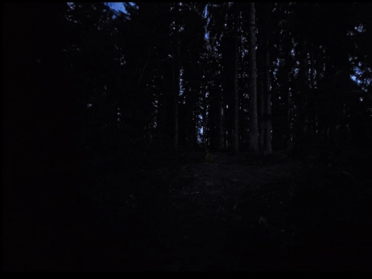 polku45208 screenshot