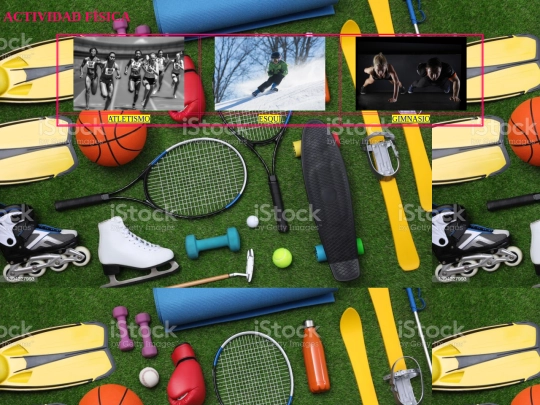 proyectofinal.html/actividadfisica.html/fisico screenshot