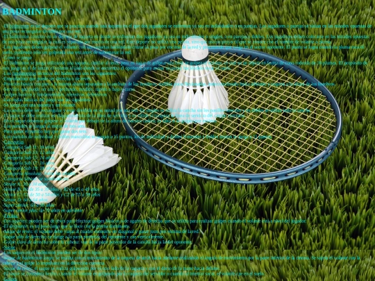 proyectofinal.html/autensilios.html/badminton screenshot