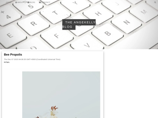 beepropolis screenshot