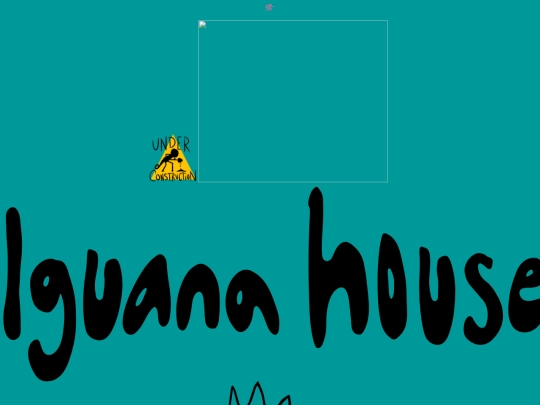 iguana_house screenshot