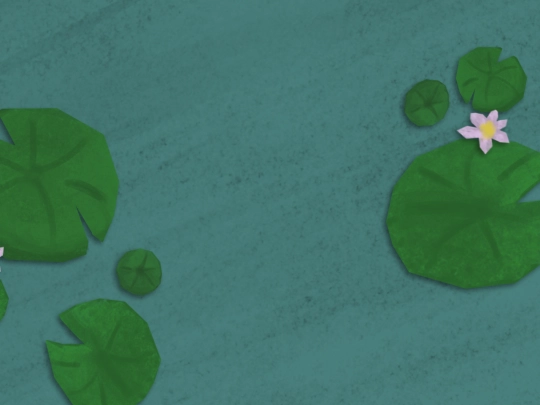 pondpress screenshot