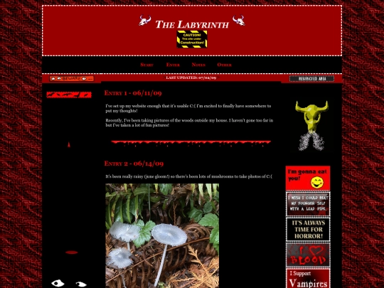 blog screenshot