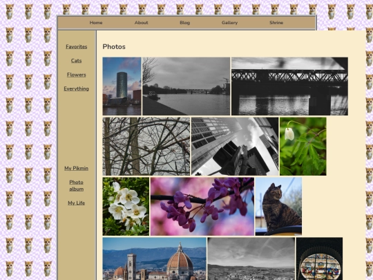 pages/gallery/everything screenshot