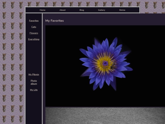 pages/gallery/photos screenshot