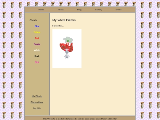 pages/gallery/white screenshot