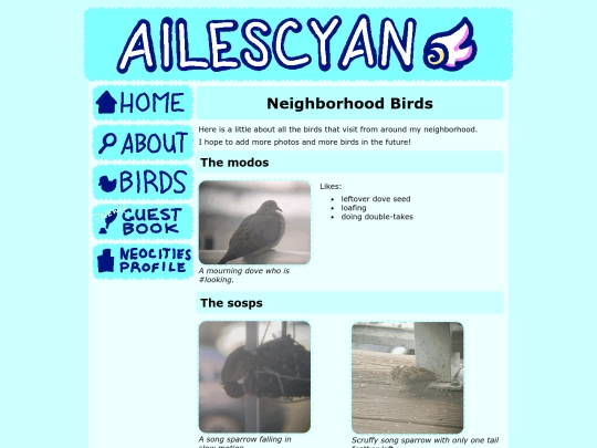 neighbirds screenshot