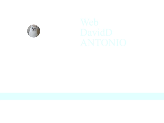 NEW/page screenshot