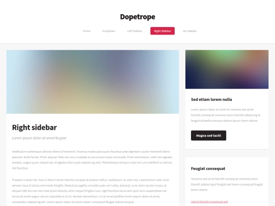 right-sidebar screenshot