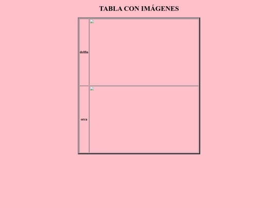ejercicio06 screenshot