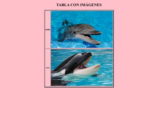 imagen/ejercicio06 screenshot
